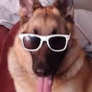 Meet your Posher, Steve